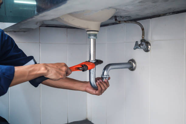 Best Residential Plumbing Services  in Middleburg, FL