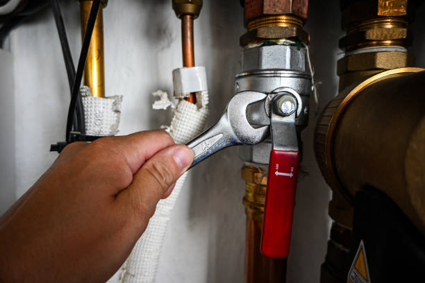 Best Faucet Repair  in Middleburg, FL